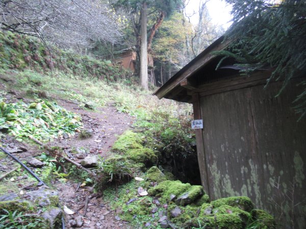 登山道